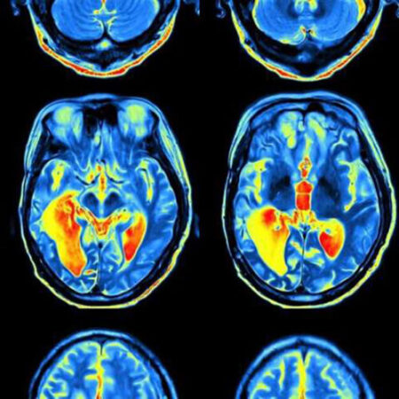 badamy, myślimy, poszukujemy