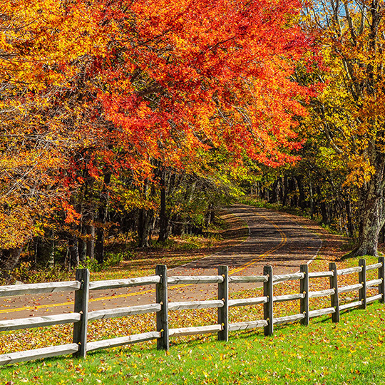 poznajemy, zwiedzamy, podróżujemy