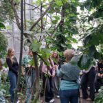 Botaniczne zagadki Palmiarni w Gliwicach