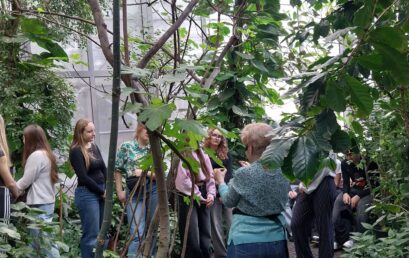 Botaniczne zagadki Palmiarni w Gliwicach