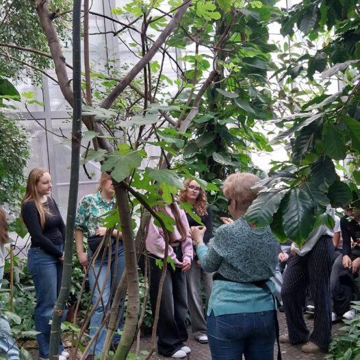 Botaniczne zagadki Palmiarni w Gliwicach