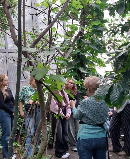 Botaniczne zagadki Palmiarni w Gliwicach