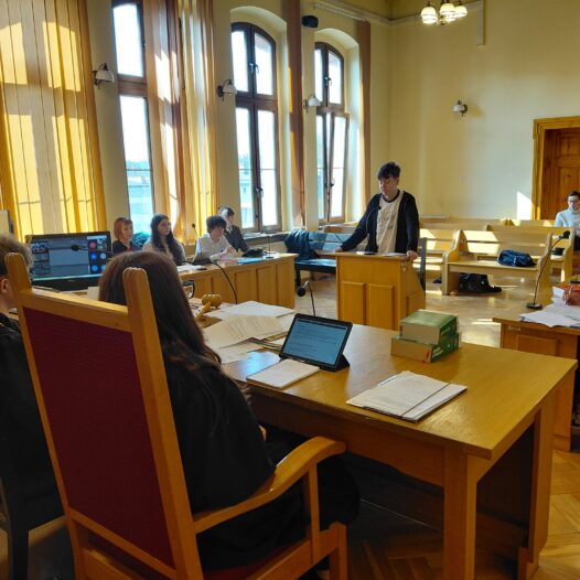 W symulacji procesu karnego